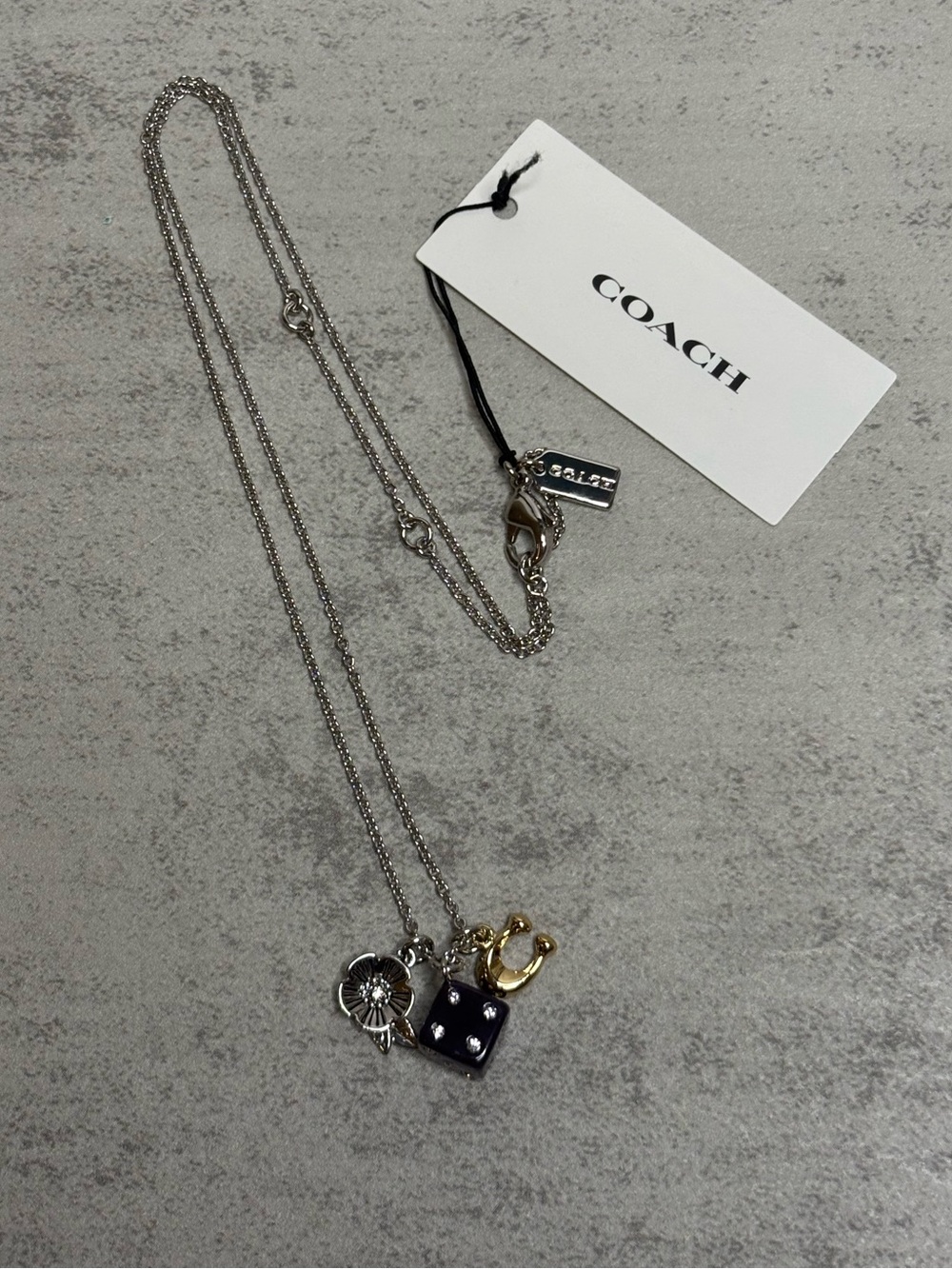 Coach Dice Charm Pendant Necklace